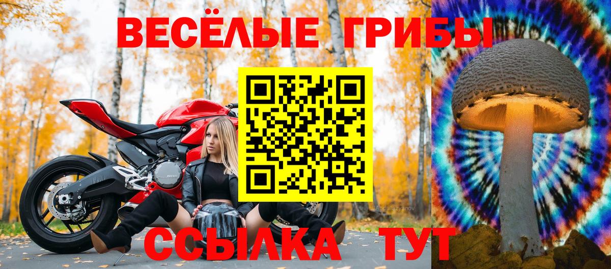 Галлюциногенные грибы мицелий Хабаровск