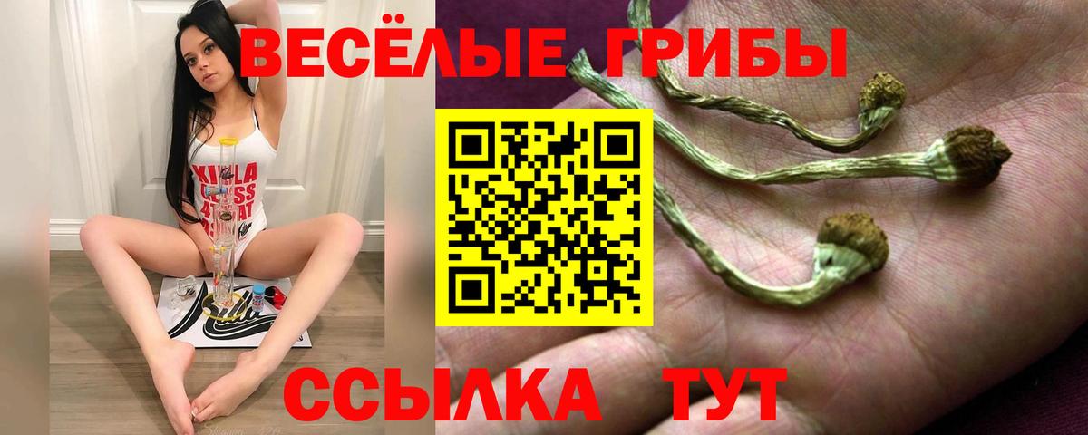 Хабаровск  Галлюциногенные грибы мицелий  Вход с VPN  Псилоцибиновые грибы Psilocybine cubensis 